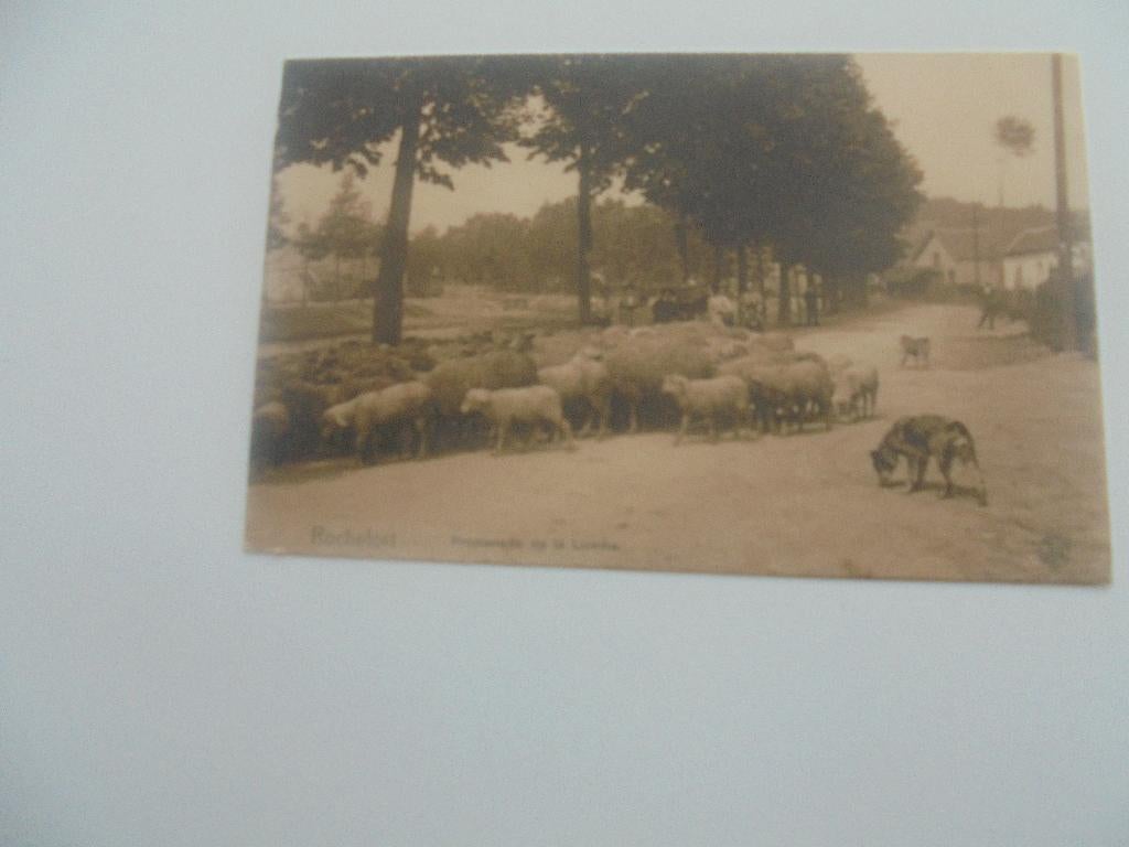 rochefort -promenade de la lomme, Collections, Cartes postales | Belgique, Envoi, Avant 1920, Affranchie, Namur