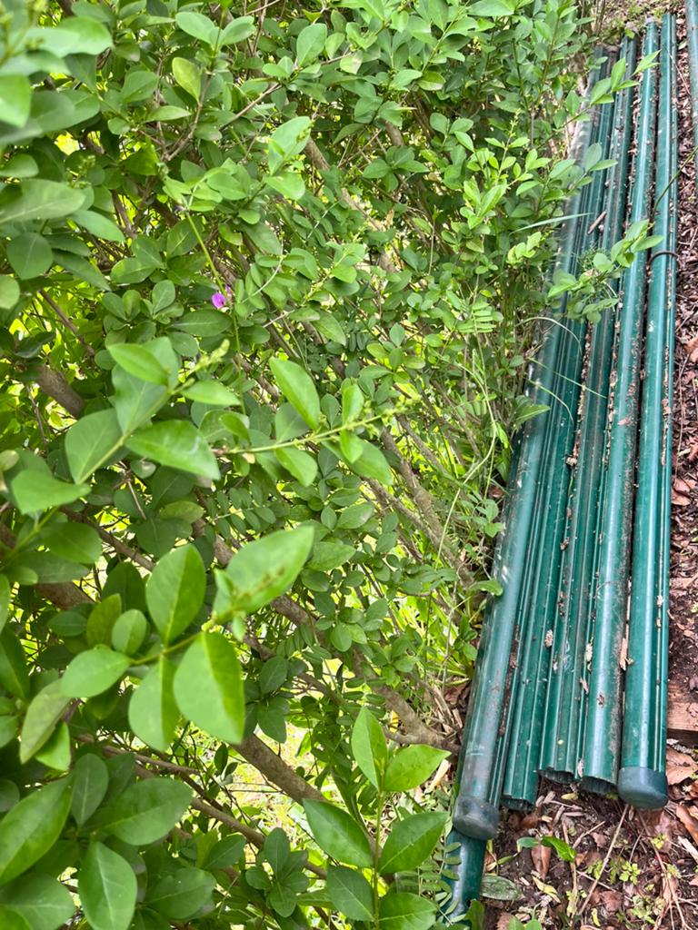 Profielpaal 48mm 250 cm, Tuin en Terras, Tuinhekken en Hekwerk, Ophalen, Zo goed als nieuw, Overige typen