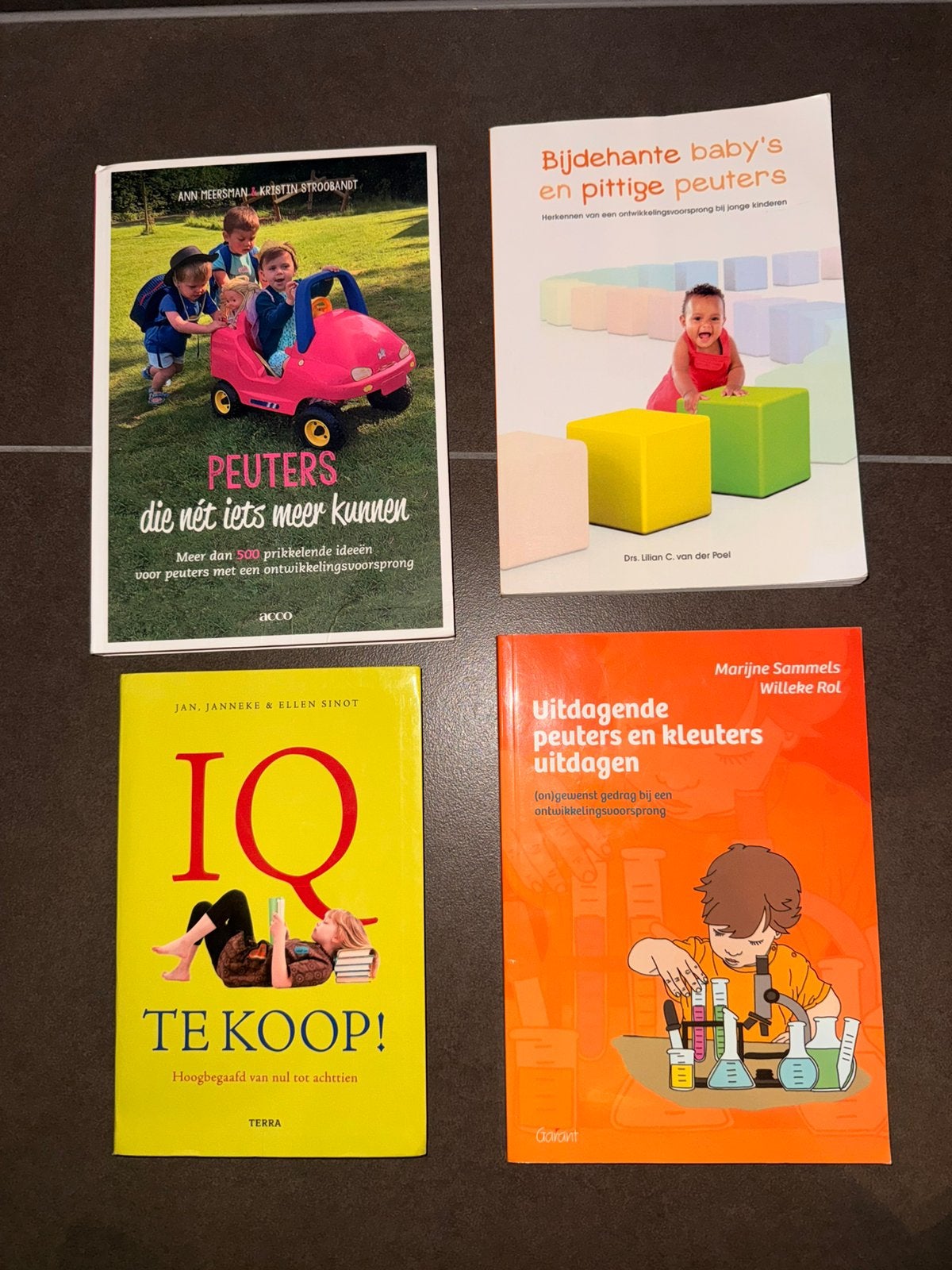 Boeken overe hoogbegaafdheid, Boeken, Ophalen, Zo goed als nieuw