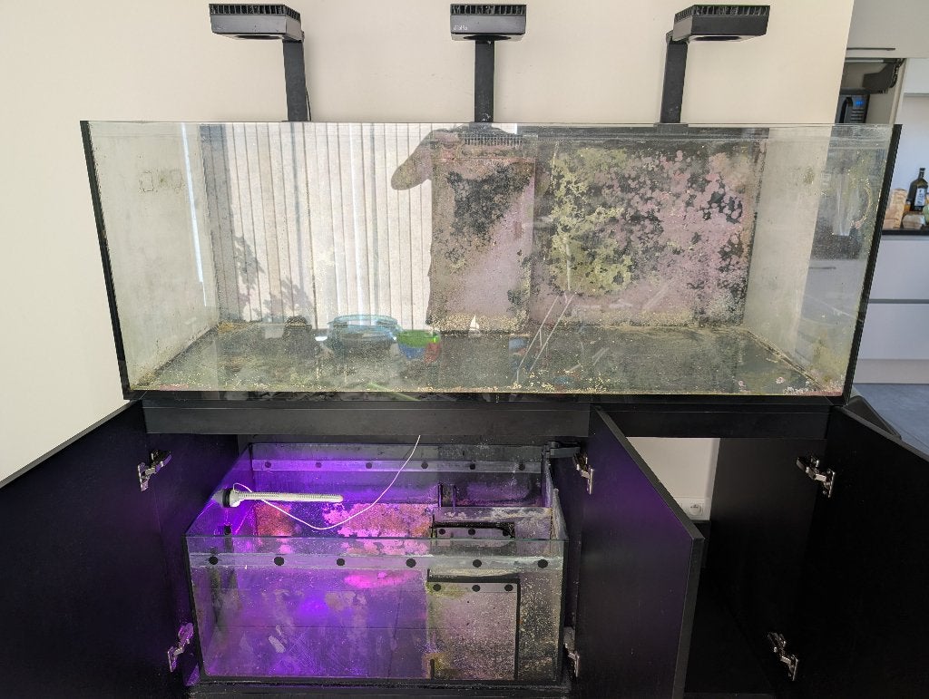 Aquarium Red Sea 525L - Cuve vide + meuble & décante (6 ans), Animaux & Accessoires, Poissons | Aquariums & Accessoires, Utilisé