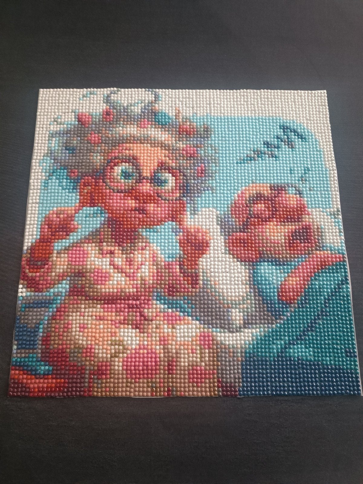 Diamond Paintings, Ophalen, Nieuw