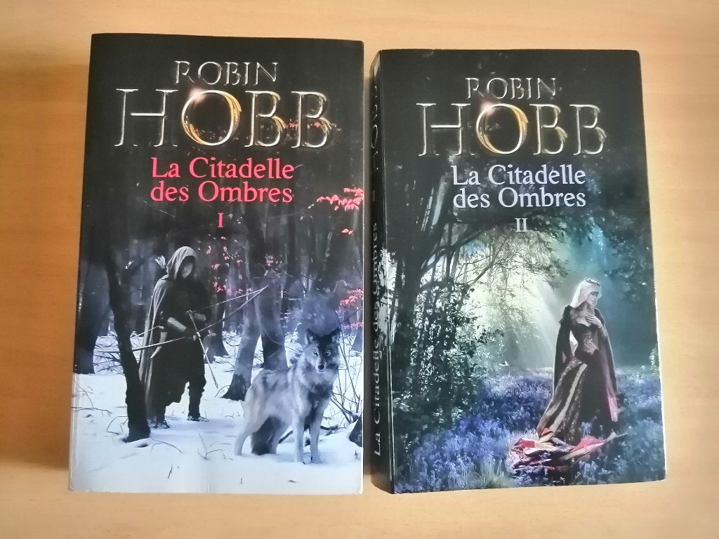 La Citadelle des Ombres, intégrale tomes 1 & 2 de Robin Hobb, Livres, Enlèvement ou Envoi, Robin Hobb