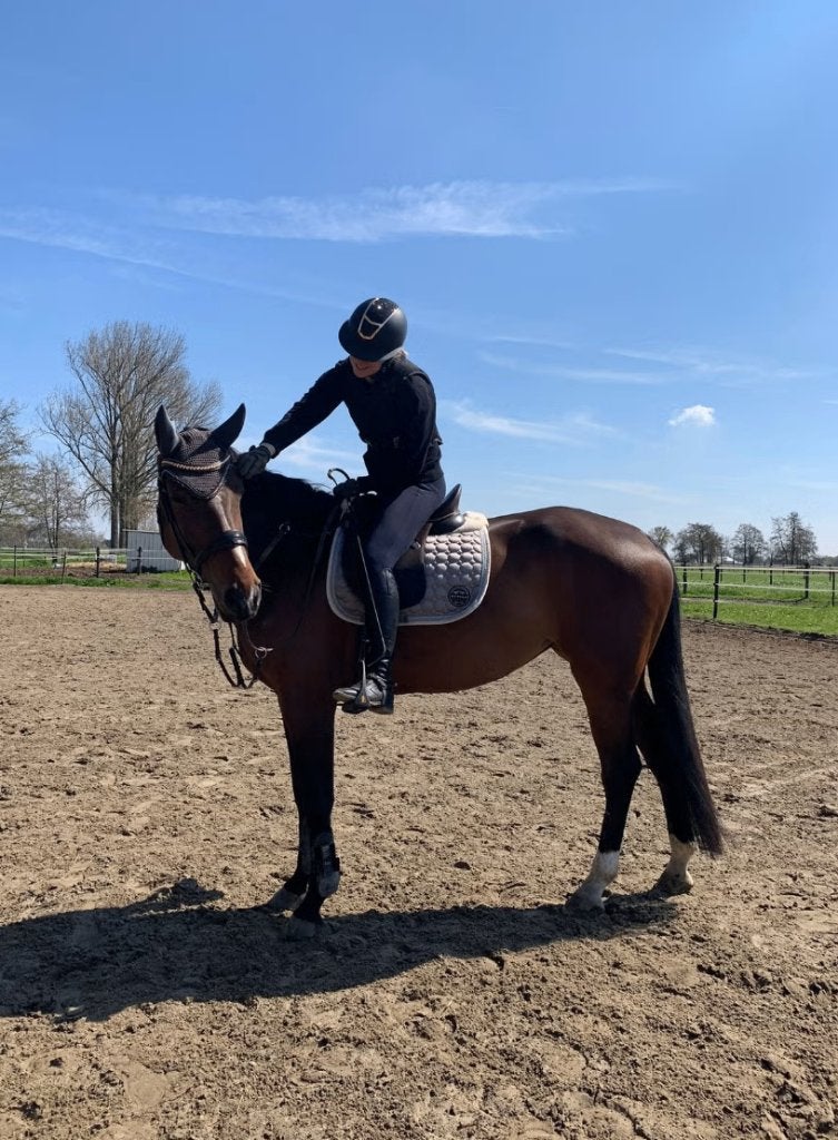 Brave 10-jarige merrie, Dieren en Toebehoren, Merrie, Springpaard, 170 tot 175 cm, L
