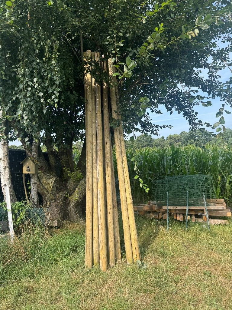 Palen 4 meter, Ophalen, Nieuw, 250 cm of meer, Palen