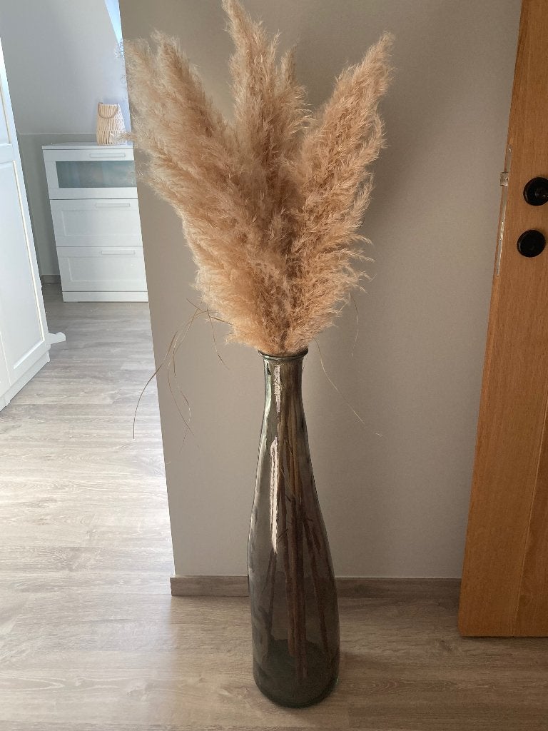 Grote vaas met pampa’s, Ophalen, Zwart, 80 cm, Glas