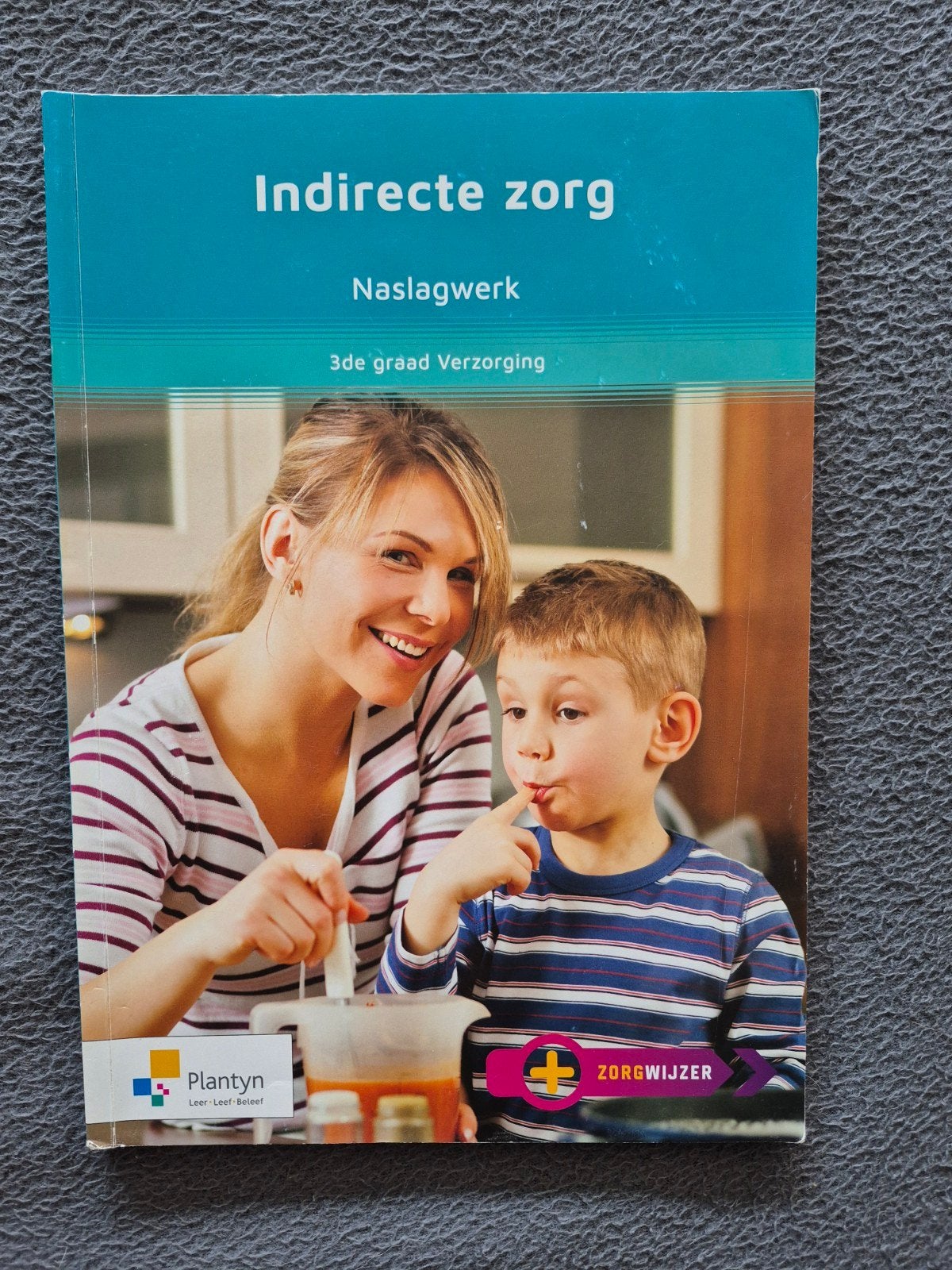 Ria Hofkens - Naslagwerk Verzorgingstechnieken, Boeken, Ophalen, BSO, Nederlands, Ria Hofkens