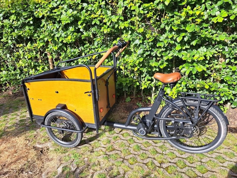 Vélo cargo électrique, Autres marques, Électrique, Enlèvement, Utilisé