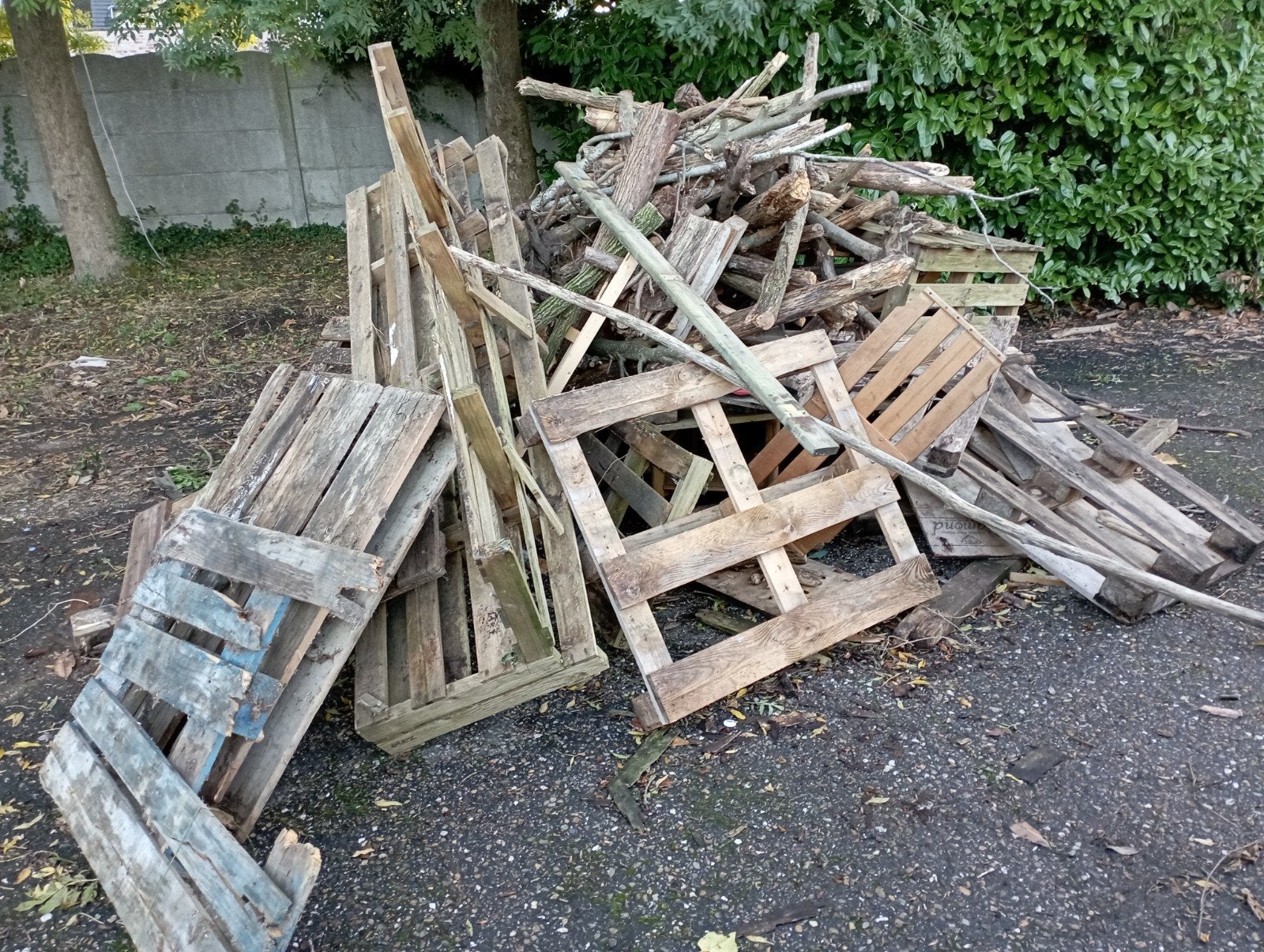 brandhout gratis, Tuin en Terras, Ophalen