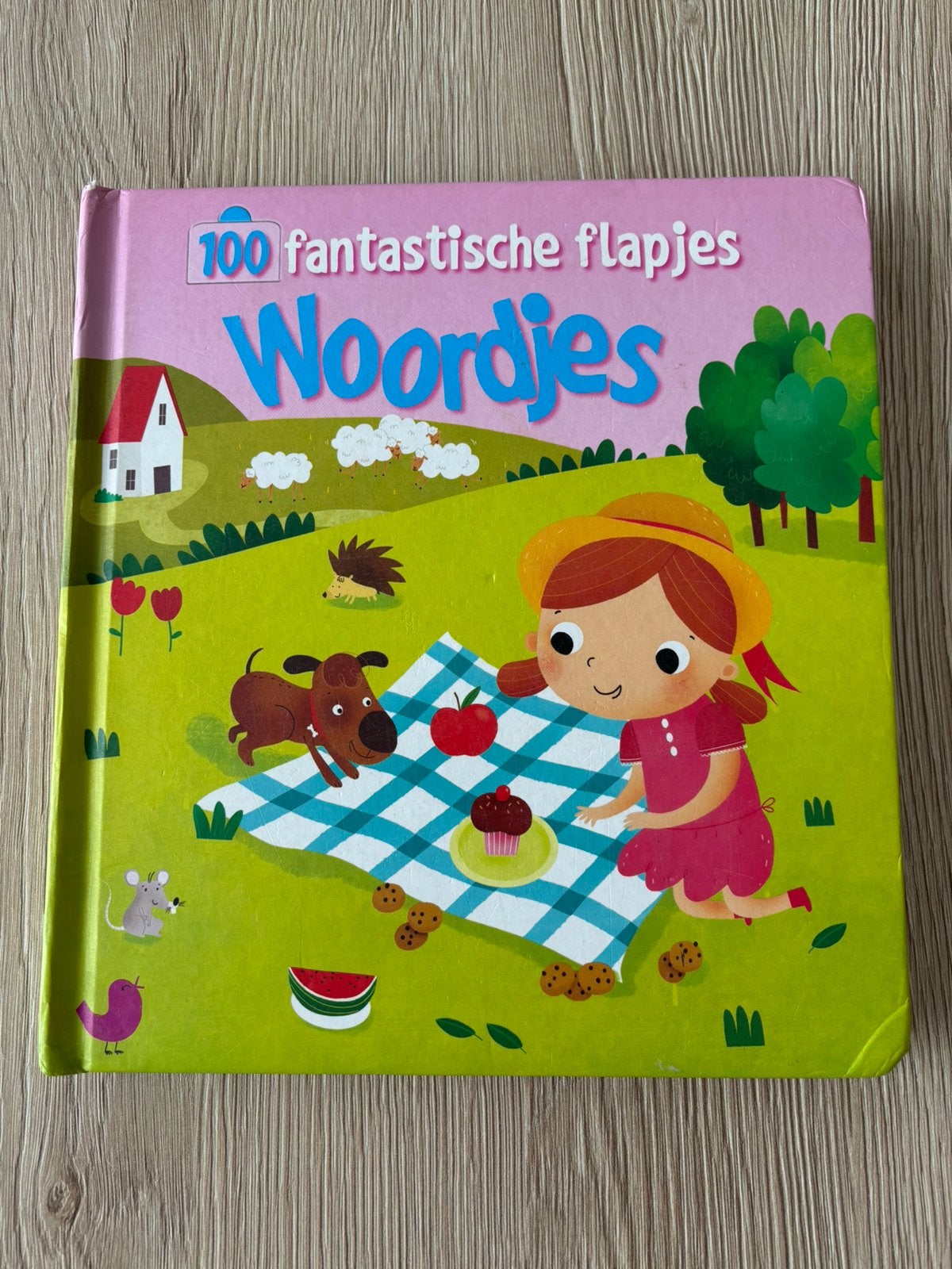 100 fantastische flapjes-boek, Boeken, Kinderboeken | Baby's en Peuters, Gelezen, Ophalen of Verzenden