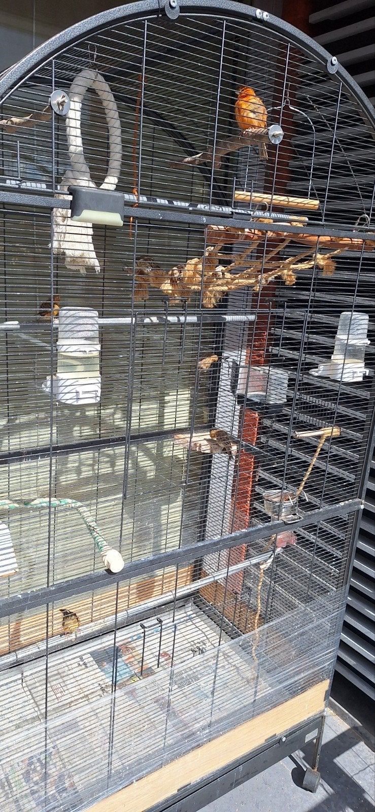 grote kooi met vogels, Enlèvement, Comme neuf