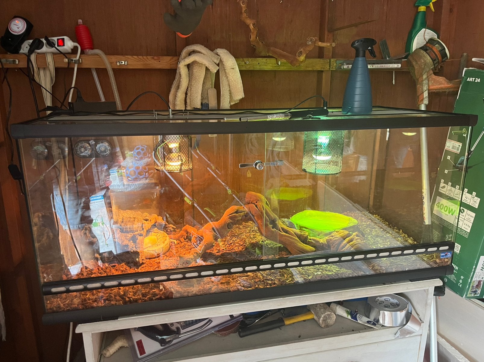 Terrarium met 2.., Ophalen of Verzenden, Zo goed als nieuw, Tak, Plant, Rots of Steen