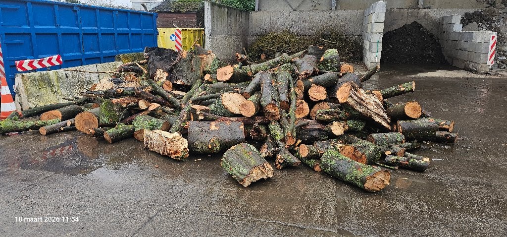 Brandhout beuk, Tuin en Terras, 6 m³ of meer, Ophalen, Beukenhout, Stammen