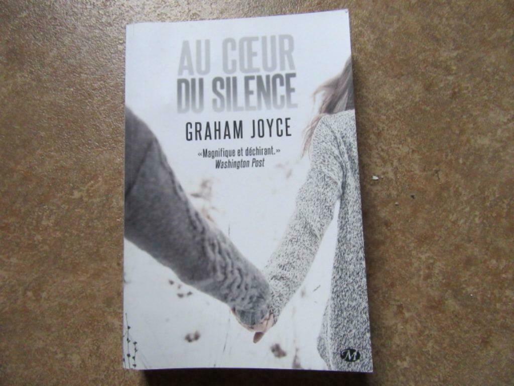 au coeur du silence Graham Joyce, Livres, Enlèvement, Utilisé