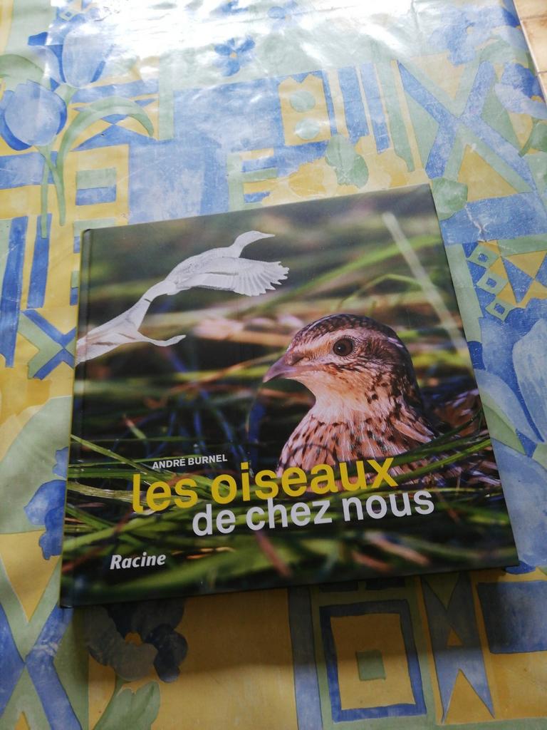 Les oiseaux de chez nous. André Burnell., Enlèvement ou Envoi, Comme neuf, Oiseaux