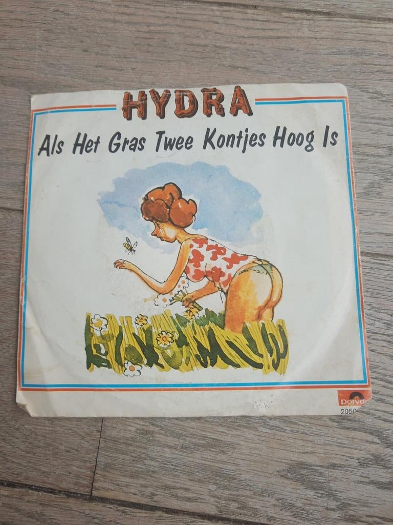 Single : Als het gras twee kontjes hoog is, Ophalen of Verzenden, Zo goed als nieuw