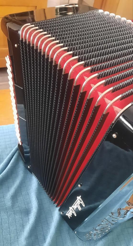 Accordeon, Musique & Instruments, Enlèvement, 96 basses