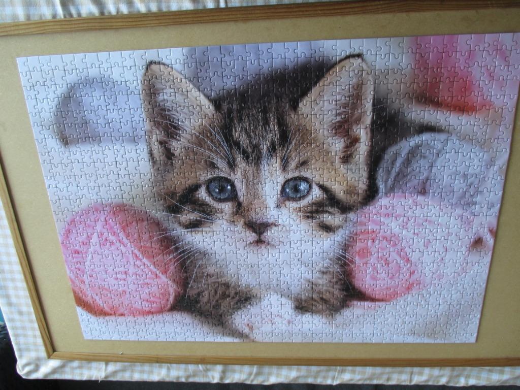 puzzel katje 1000, Hobby en Vrije tijd, Ophalen of Verzenden, 500 t/m 1500 stukjes, Zo goed als nieuw, Legpuzzel