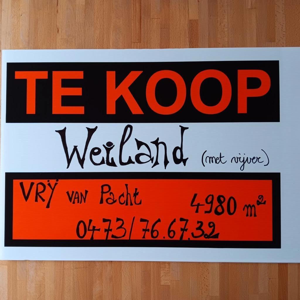 Landbouwgrond - weiland met vijver, Stekene, Ventes sans courtier, 1500 m² ou plus