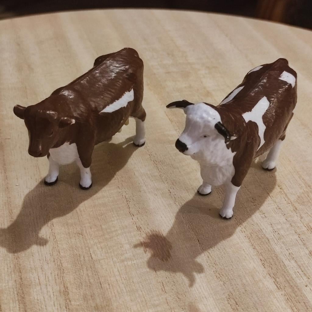 Couple de vaches miniatures, Envoi
