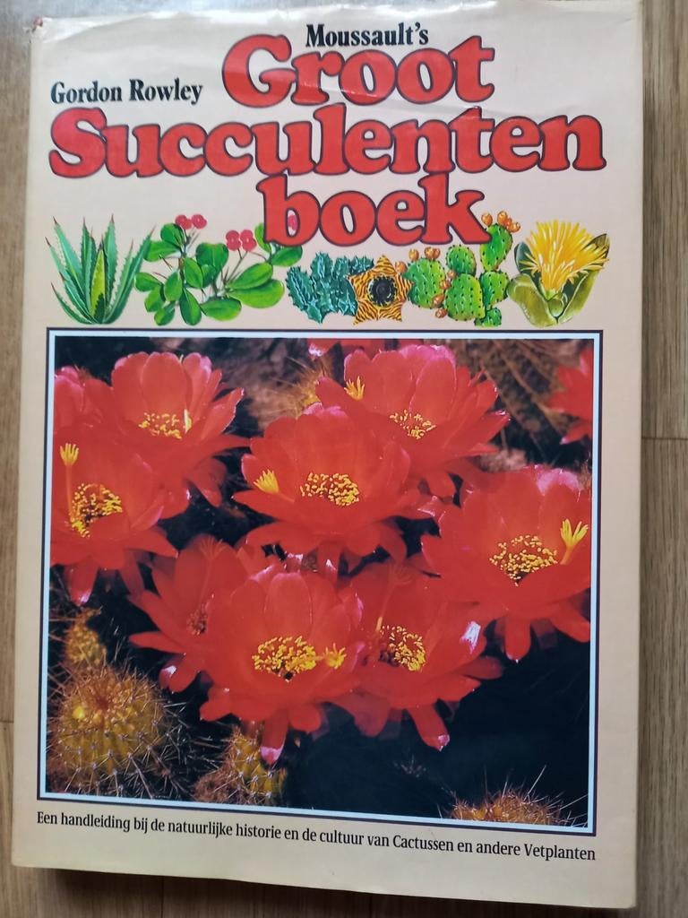 HET ZIJN SCHATJES  ❤️🧡💛, Ophalen of Verzenden, Zo goed als nieuw
