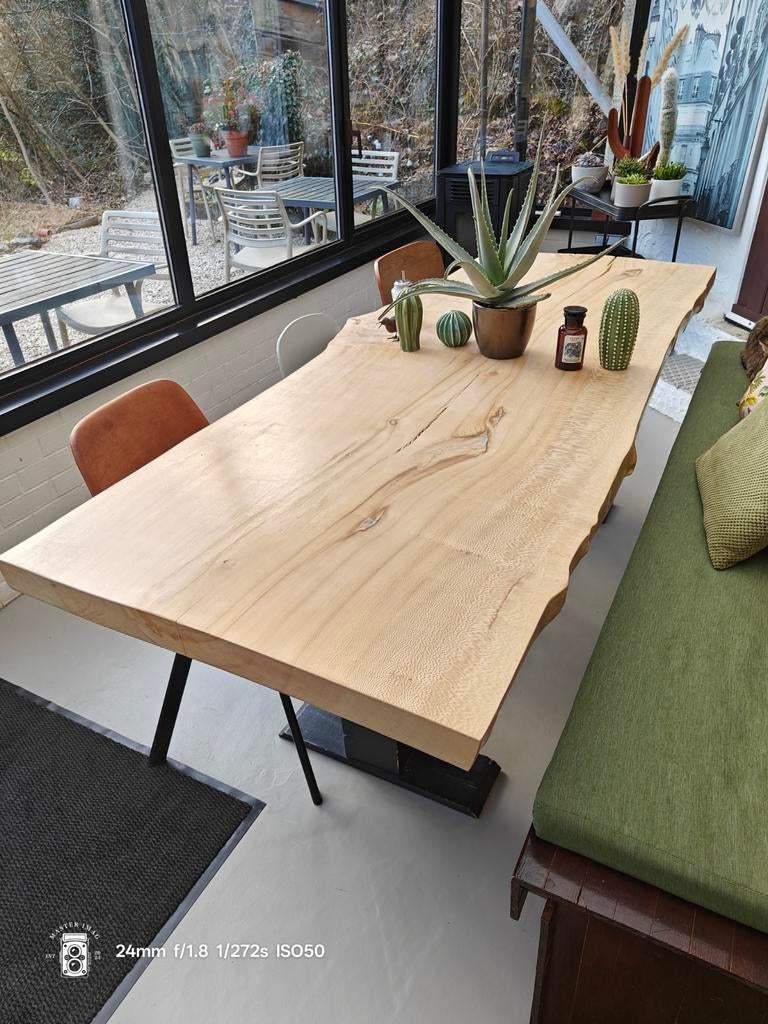 Tronc d'arbre de table Sycomore, Enlèvement