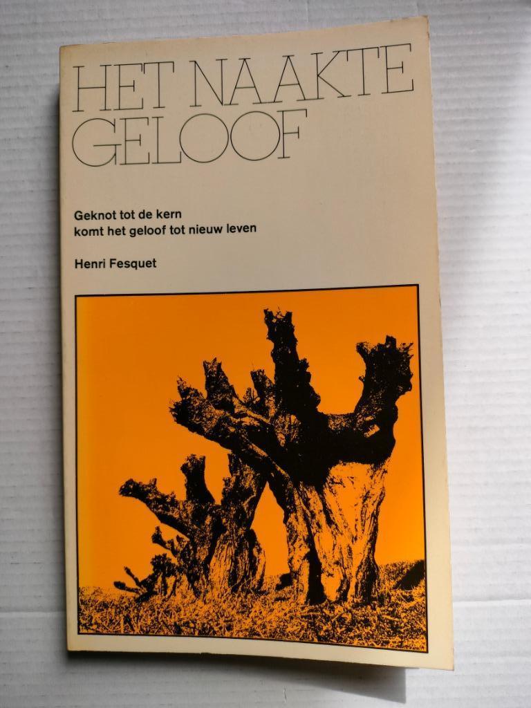 Het naakte geloof geknot tot de kern komt het geloof tot ..., Ophalen of Verzenden, Gelezen, Henri Fesquet, Christendom | Katholiek