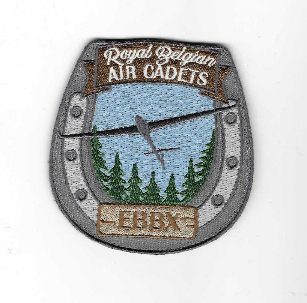 MILITARIA, Enlèvement ou Envoi, Armée de l'air, Emblème ou Badge