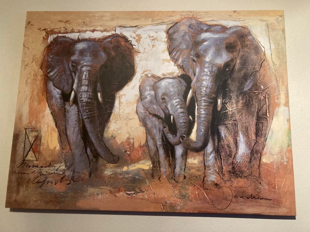 Canvas olifanten op houten kader., Ophalen