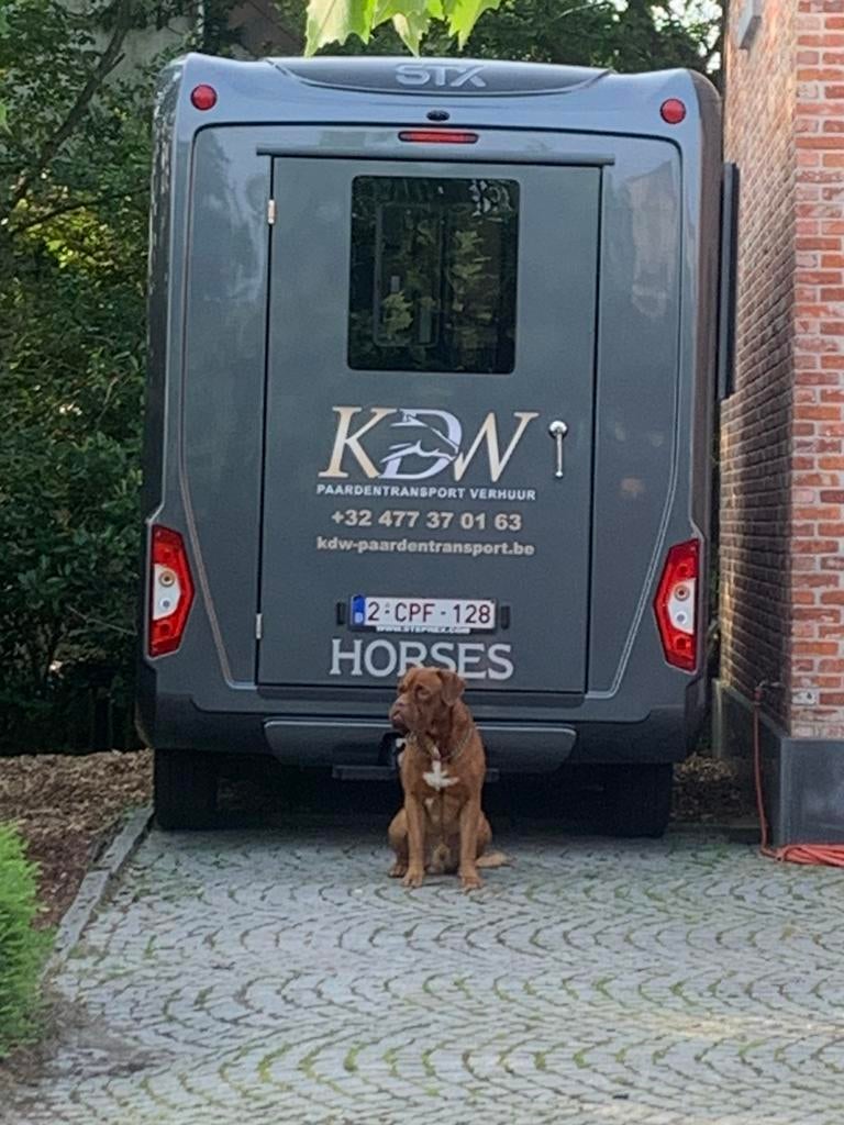 Paardencamionette te huur MET chauffeur, Ophalen, Nieuw, Aluminium, 2-paards trailer