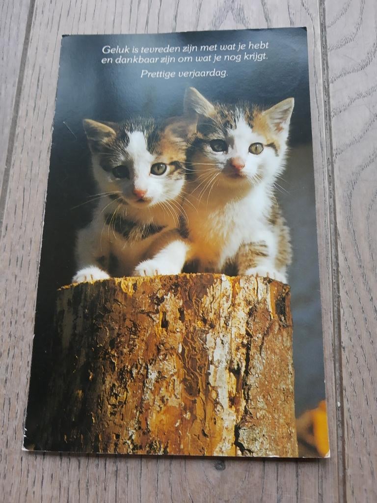 Carte d'anniversaire avec des chats, du soldat Bart., Collections, Enlèvement ou Envoi
