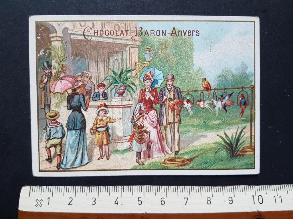Chromo Chocolat Baron Anvers Antwerpen ZOO Papegaai, Verzamelen, Ophalen of Verzenden, Zo goed als nieuw, Voor 1940, Dier