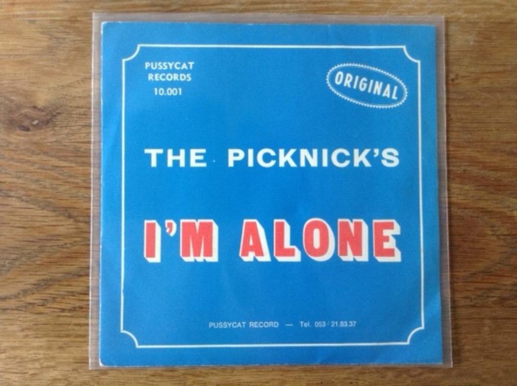 single the picknick's / soul affair orchestra, Cd's en Dvd's, Ophalen of Verzenden, 7 inch, Pop, Single