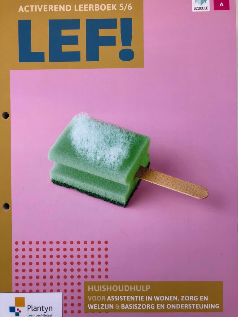 LEF! Huishoudhulp voor opvoeding en begeleiding, Livres, Livres scolaires, Enlèvement ou Envoi, Neuf, Économie domestique ou Soins du ménage