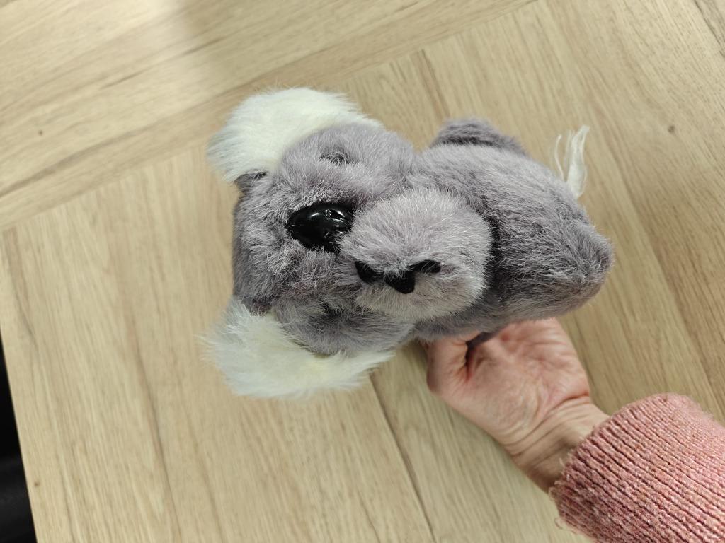 Beertje koala, Enlèvement