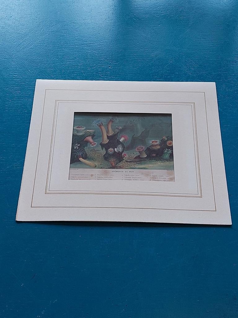 Chromolithographie, Enlèvement ou Envoi