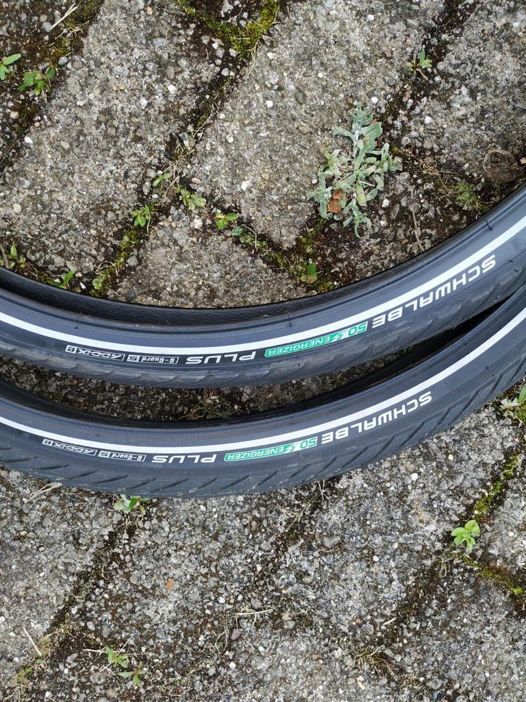 Schwalbe energizer plus, Enlèvement, Neuf