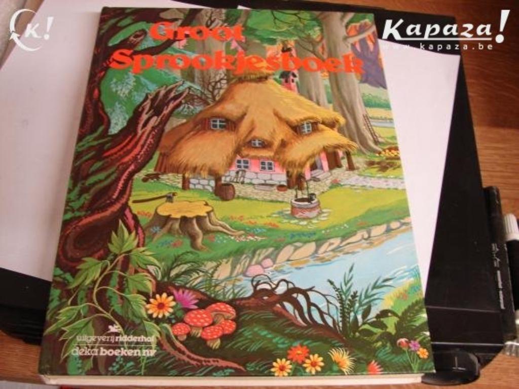 groot sprookjesboek, Ophalen of Verzenden, Gelezen