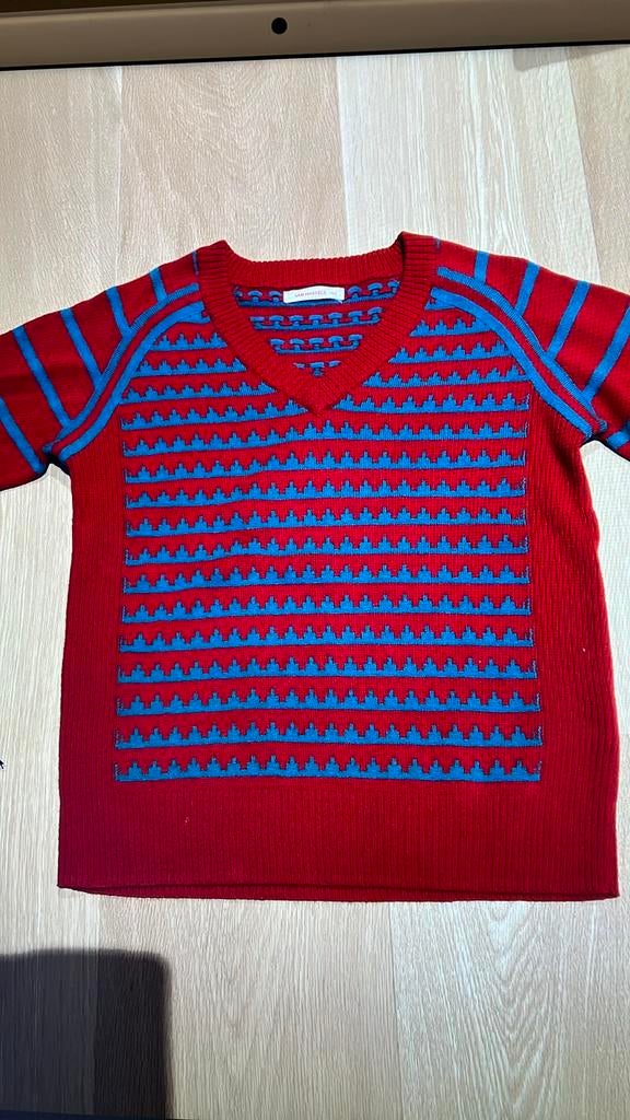 Van Hasselt trui maat 140 of 10 jaar, Van Hassels, Jongen of Meisje, Trui of Vest, Ophalen of Verzenden