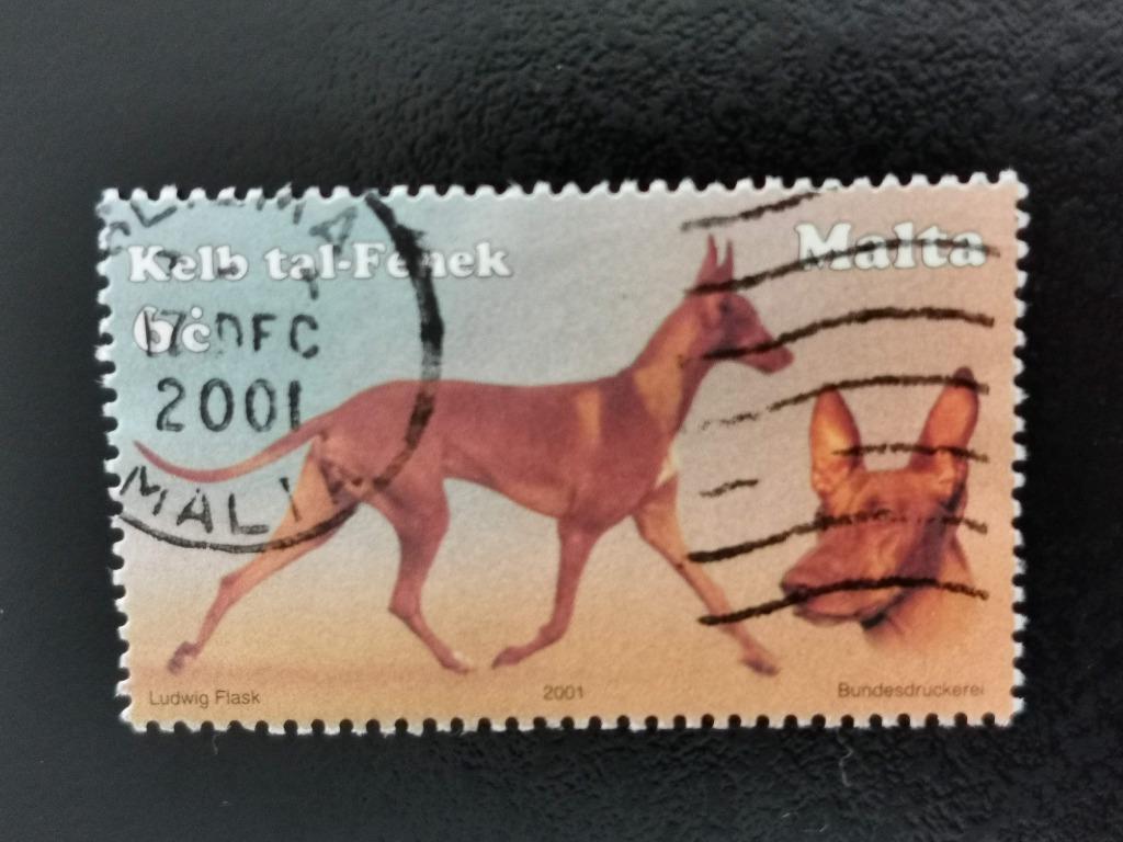 Malte 2001 - chiens - Lévrier des pharaons, Enlèvement ou Envoi, Malte, Affranchi