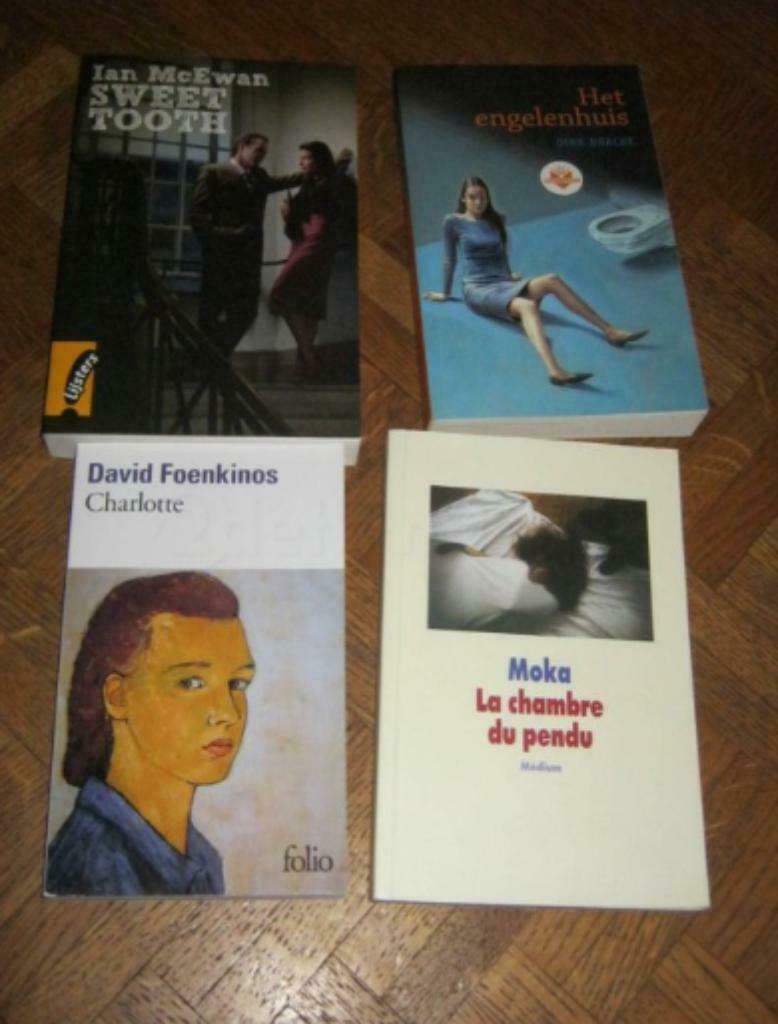 Jeugdboekjes voor de middelbare school, Livres, Enlèvement ou Envoi, Utilisé, Dirk Bracke