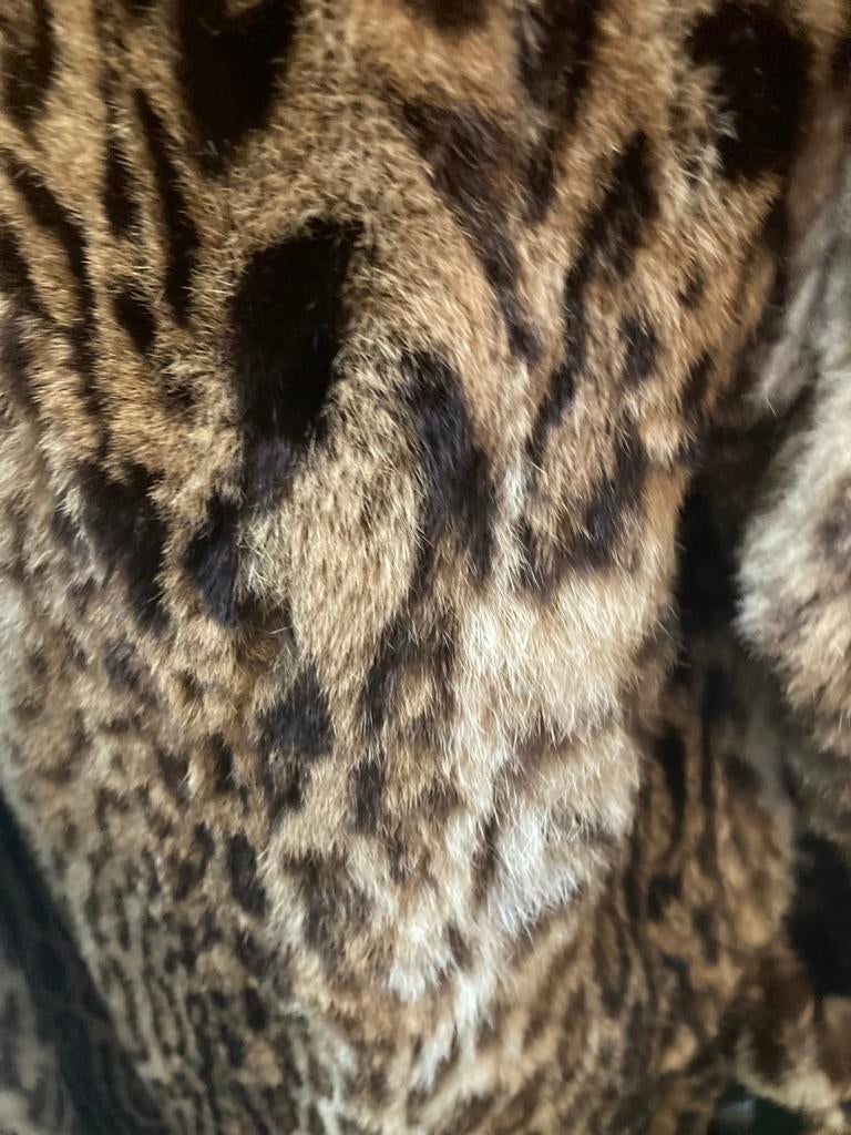 Echte bontjas wilde kat hele mooie! Zgst, Ophalen, Zo goed als nieuw, Maat 38/40 (M)