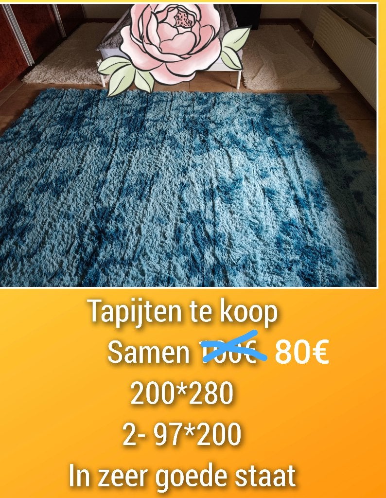 Tapijt, Maison & Meubles, 200 cm ou plus, 200 cm ou plus, Comme neuf, Enlèvement