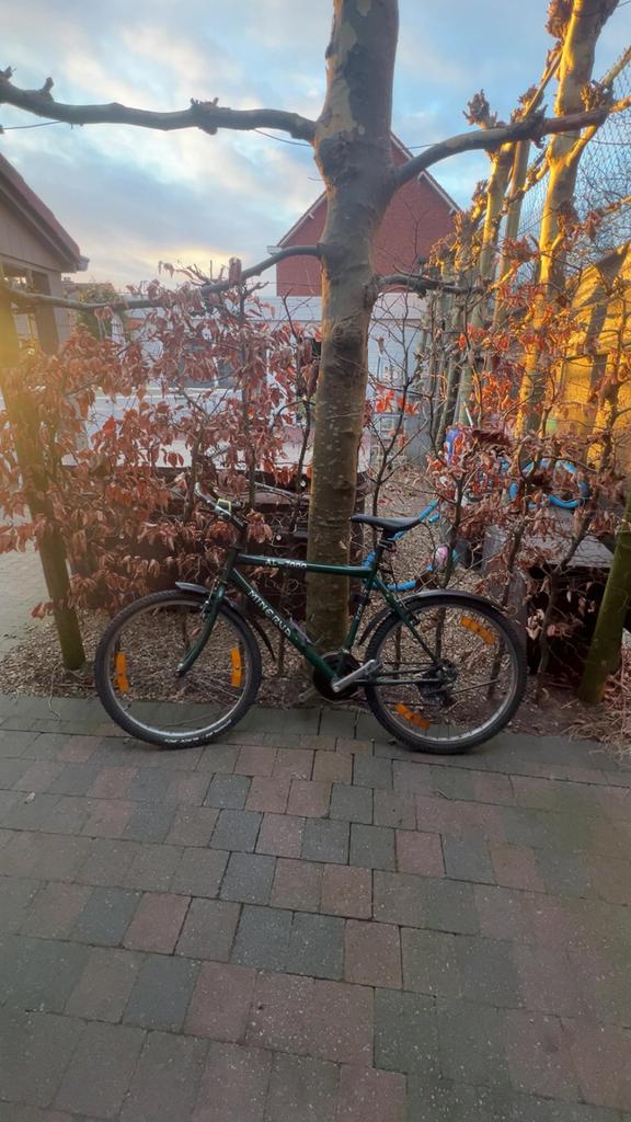 Minerva - Vélo de montagne pour hommes, Autres marques, Vitesses, 49 à 53 cm, Enlèvement