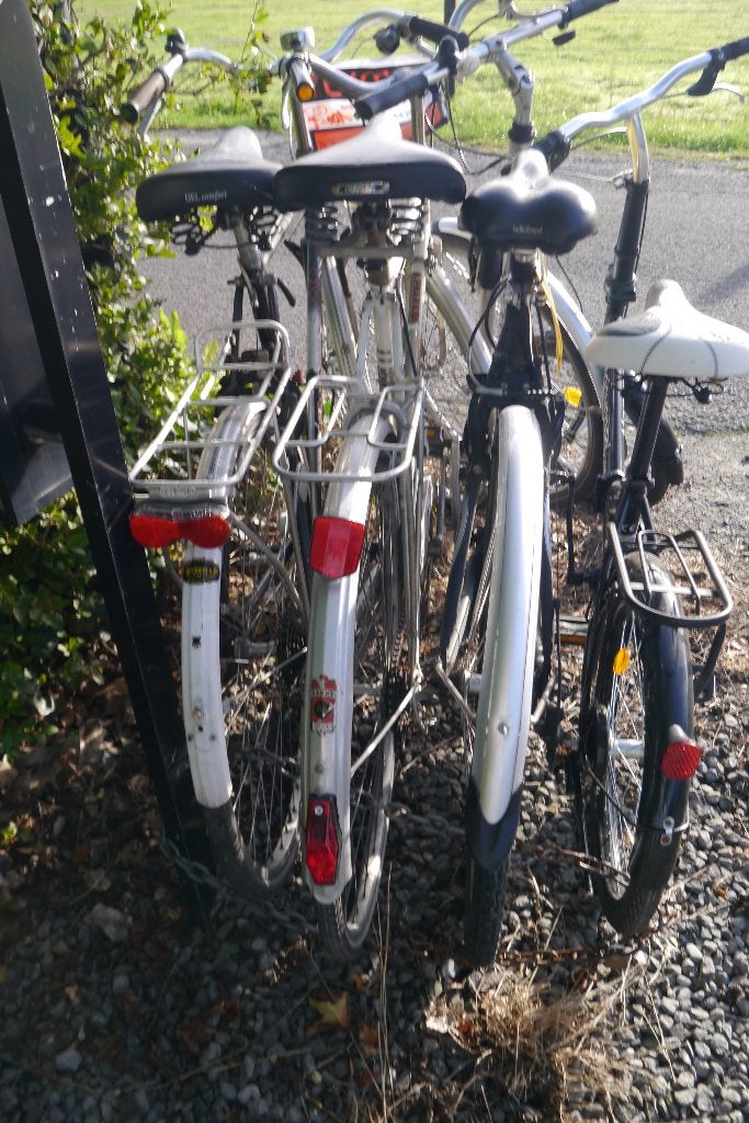 Herenfietsen 4 fietsen samen 100 Euro, Vitesses, Frein sur jante, 57 à 61 cm, Enlèvement