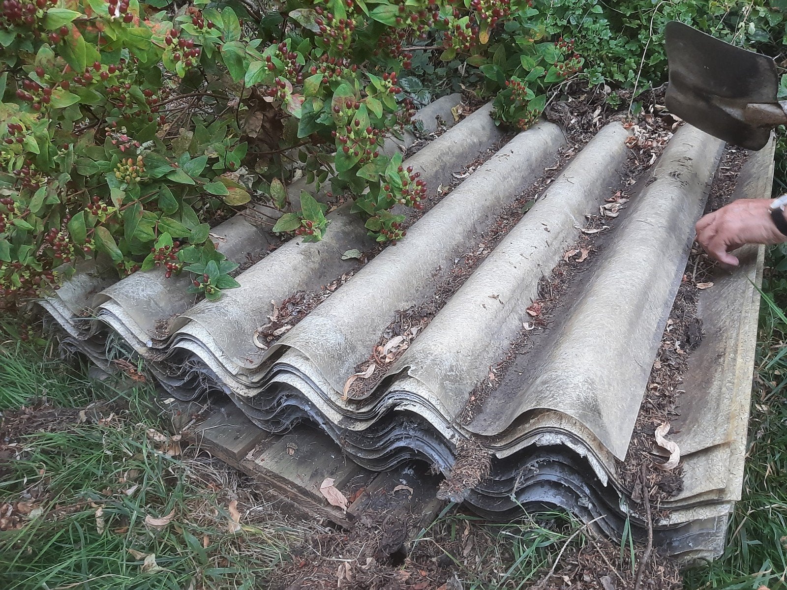 Polyester golfplaten, Doe-het-zelf en Bouw, Dakpannen en Dakbedekking, Ophalen, Kunststof, Gebruikt, 15 m² of meer