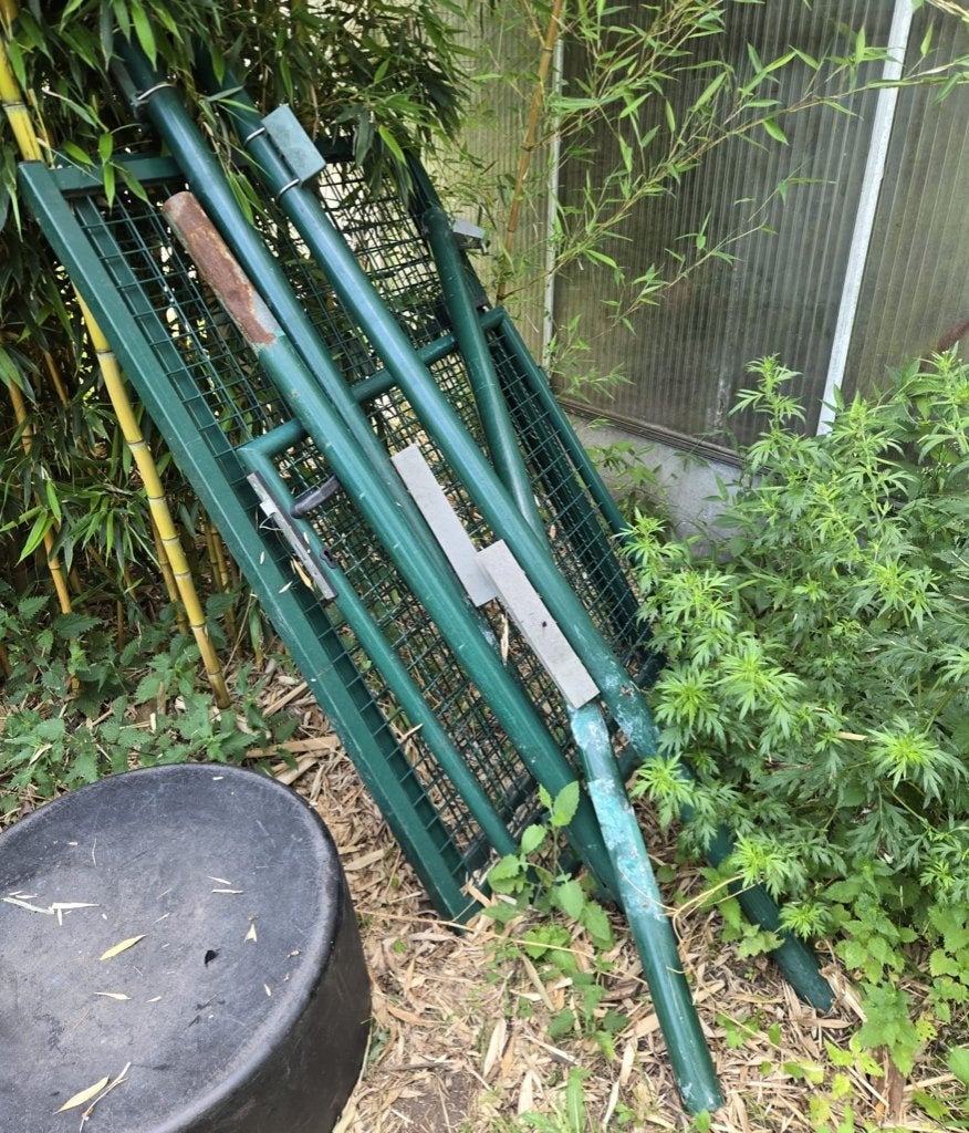 Ijzeren tuinpoort, Tuin en Terras, Ophalen, Gebruikt, IJzer, Draaipoort