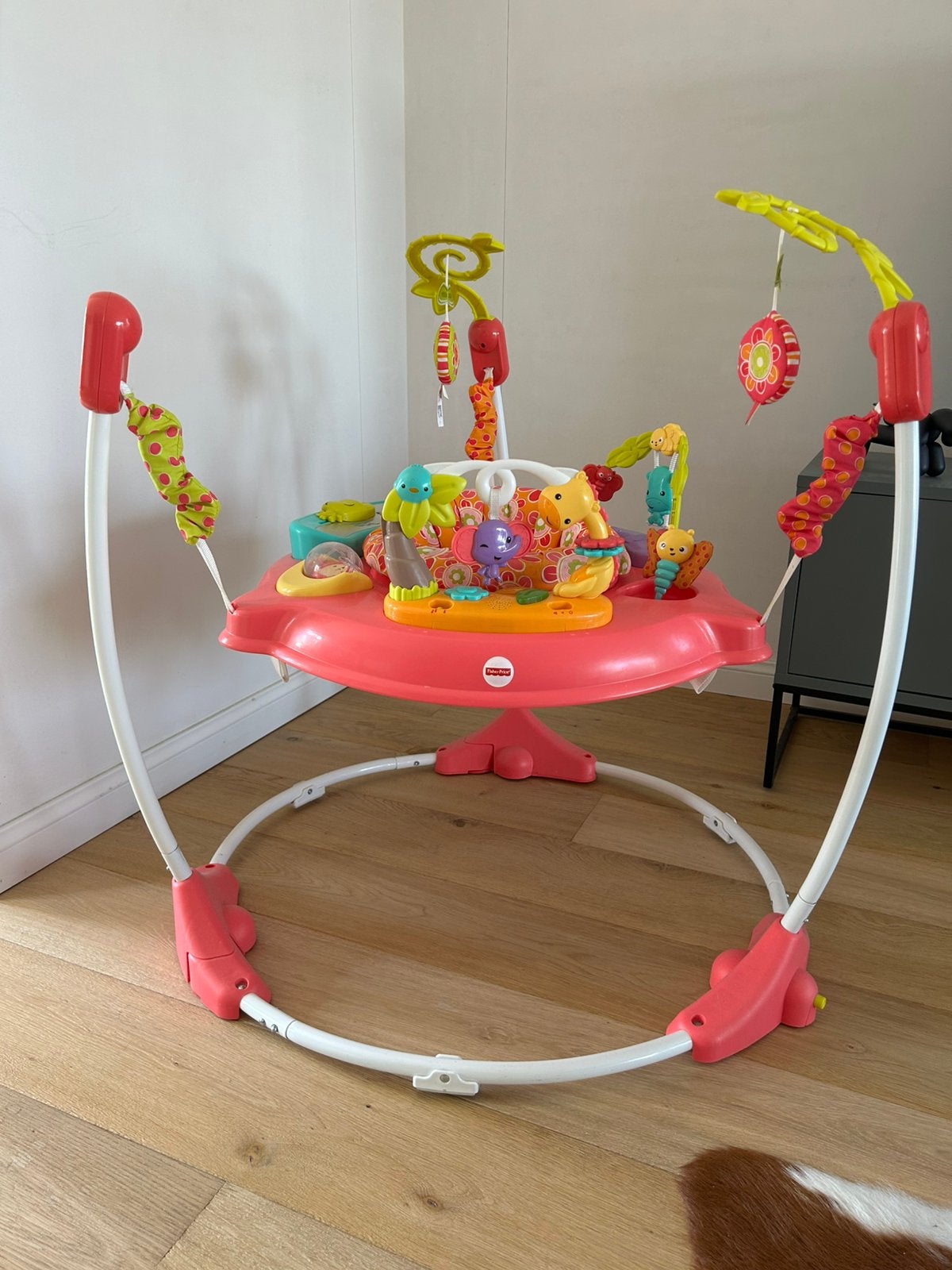 Fisher Price jumper, Kinderen en Baby's, Ophalen, Zo goed als nieuw
