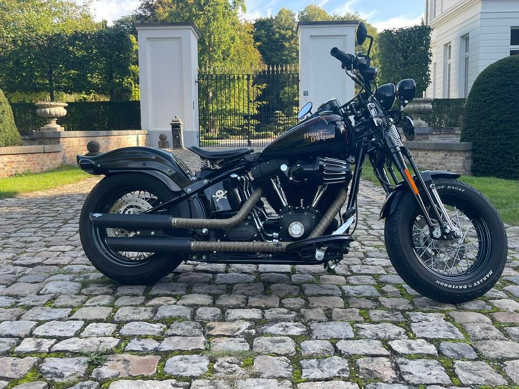 Tijdloze harley cross bones, Motoren, Particulier