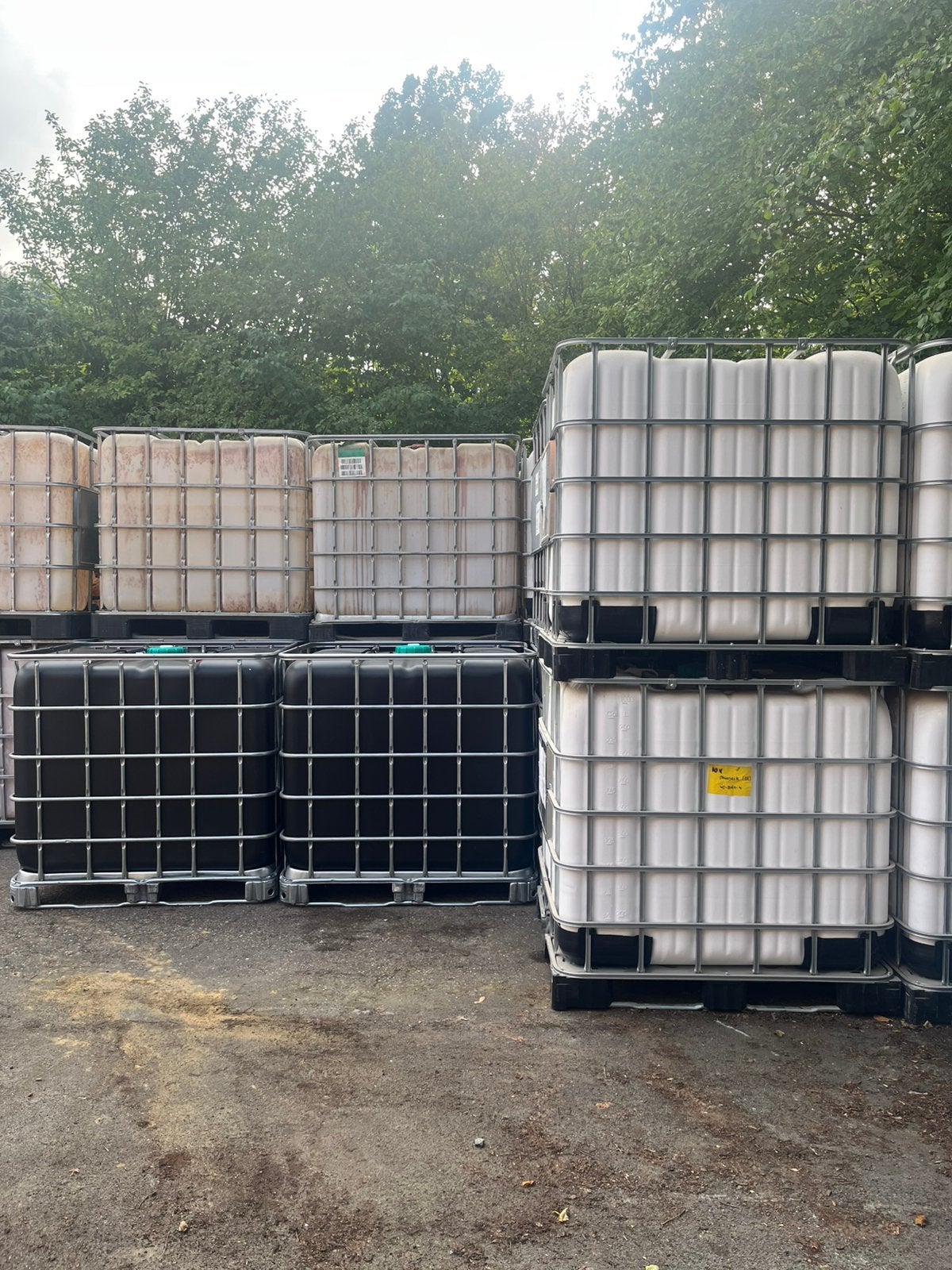 Ibc vaten 1000L, 150 litres ou plus, Synthétique, Enlèvement, Utilisé