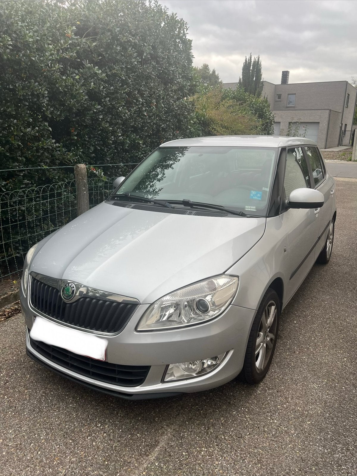 Skoda Fabia, Achat, Carnet d'entretien, Particulier, Electronic Stability Program (ESP)
